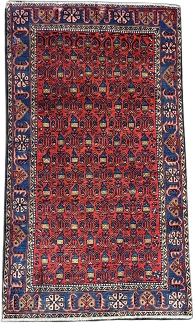 86627 Saraband-Iraniano 2,00x1,10=2,20