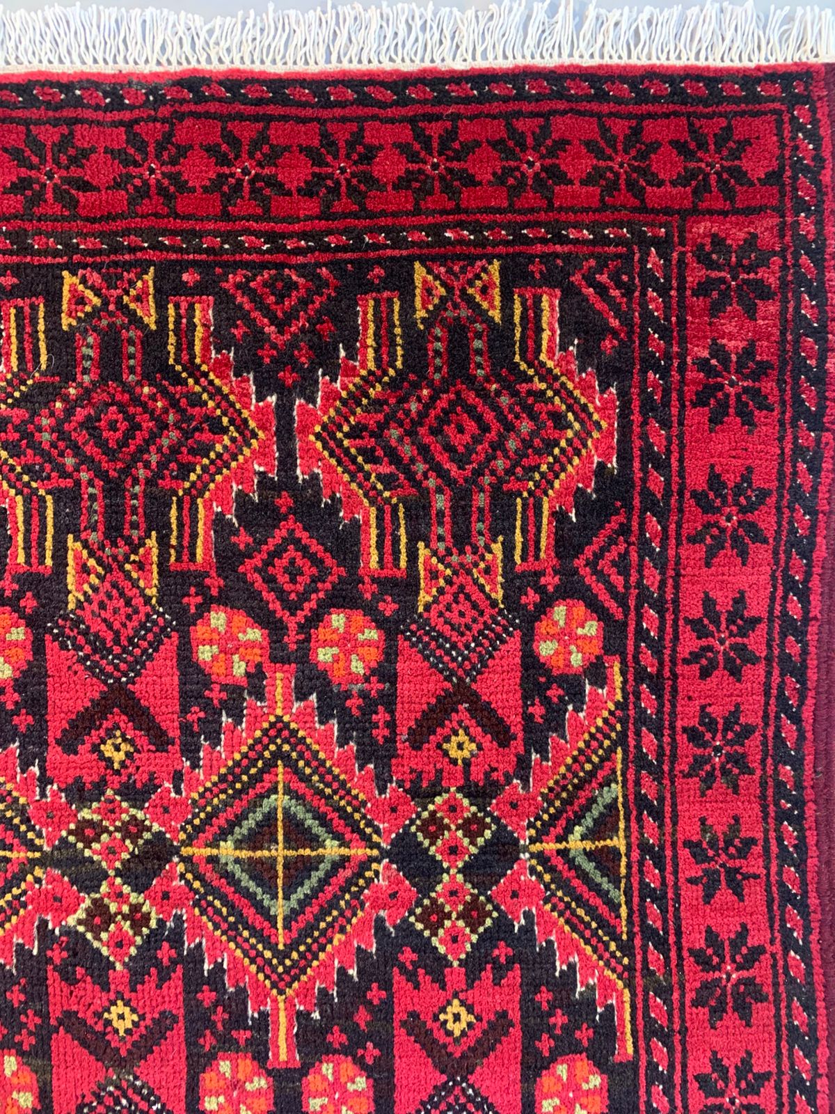 87716 Balouch 1,82 x 1,00 = 1,82